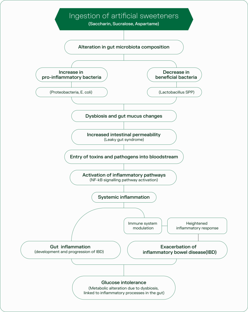 Flowchart: How Artificial Sweeteners Disrupt the Gut
Ingestion of compounds like saccharin, sucralose, and aspartame alters gut microbiota composition—reducing microbial diversity and shifting key metabolic pathways. This dysbiosis has been linked to systemic inflammation, impaired glucose tolerance, and increased risk of inflammatory bowel diseases (IBD).