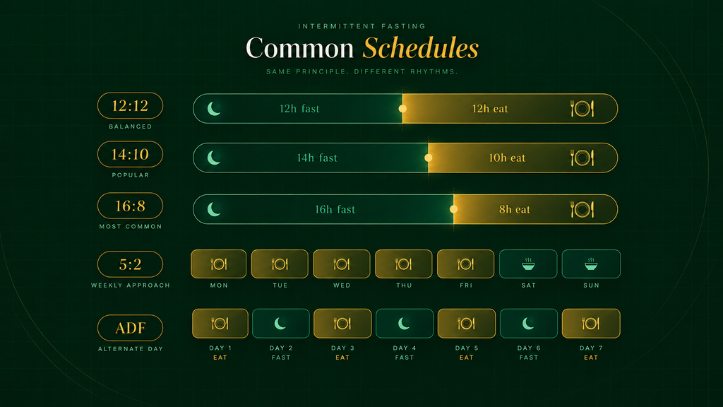 A visual describing the common schedules followed by people adhering to intermittent fasting.